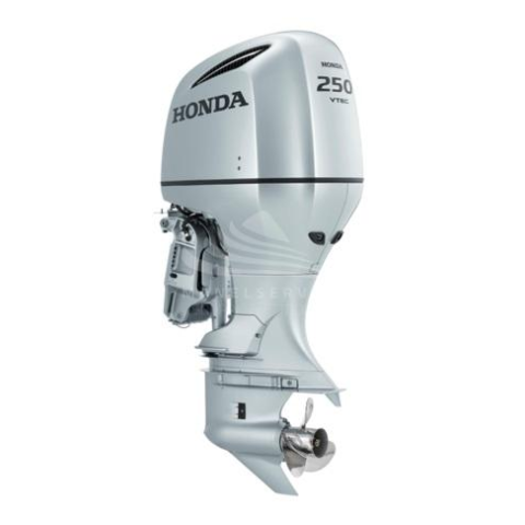 HONDA BF 250 LU Motore Fuoribordo
