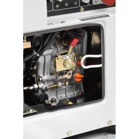 HYUNDAI DHY 8000 SE Interno motore