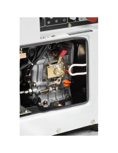 HYUNDAI DHY 8000 SE Interno motore