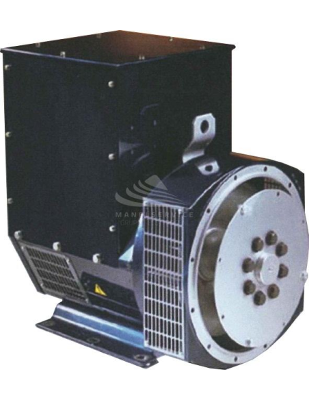 DINGOL DG224E