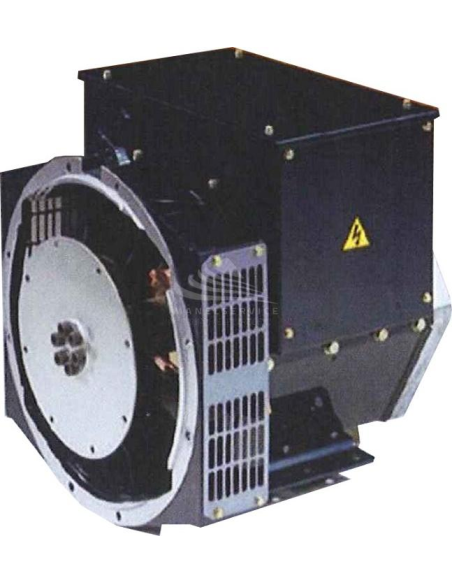 DINGOL DG184H