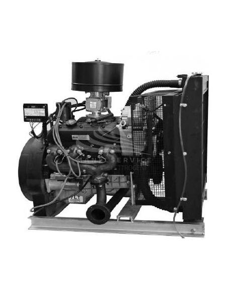 CGM 25NG GAS METANO - APERTO CON CENTRALINA MANUALE