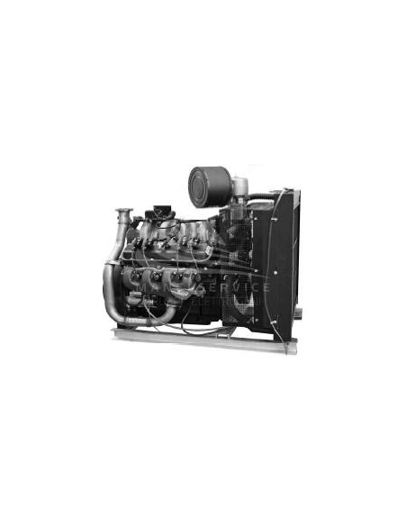 CGM 25NG GAS METANO - APERTO CON CENTRALINA MANUALE