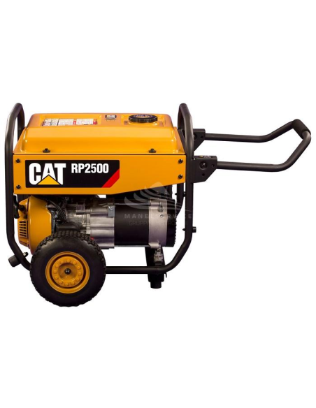 CAT CATERPILLAR RP2500 SINGLE PHASE GASOLINE 2.5 KW AVR