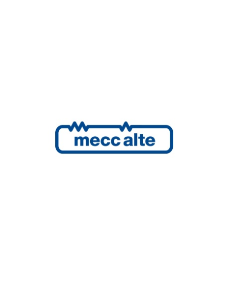 Mecc Alte - Impregnazione Total + per alternatori ECO40. | Manel Service