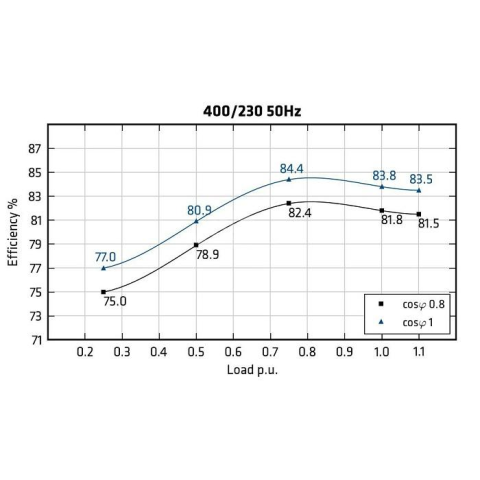 MECC ALTE ECP3-1S/4 - Rendimento