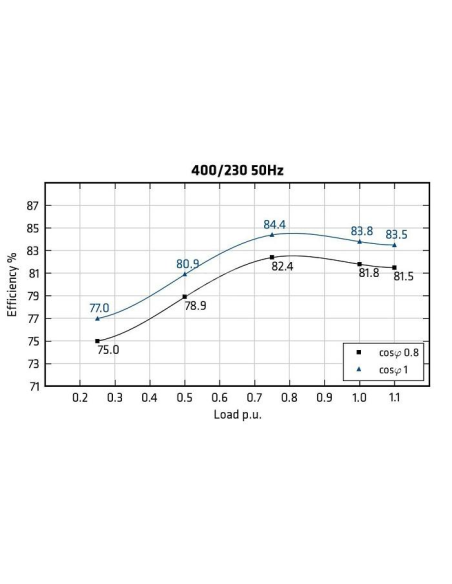 MECC ALTE ECP3-1S/4 - Efficiency