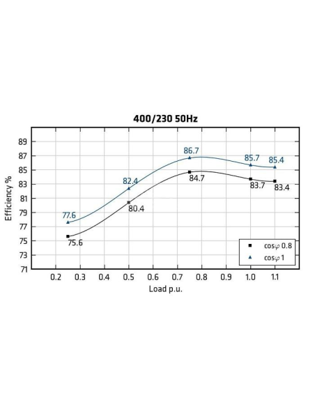MECC ALTE ECP3-2S/4 - Efficiency