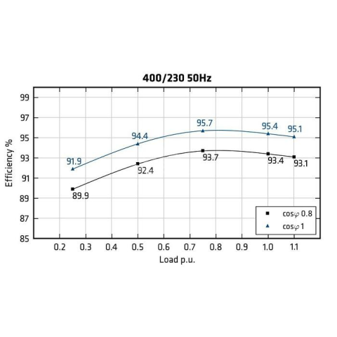 MECC ALTE ECO38-1L/4 - Efficiency
