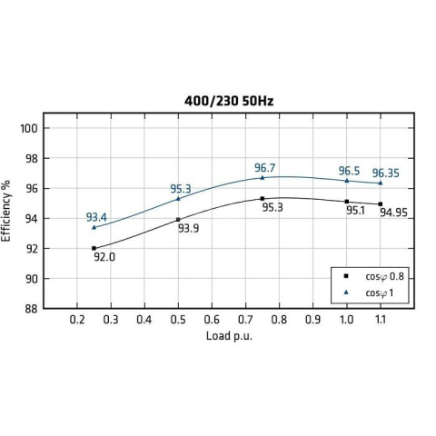 MECC ALTE ECO43-1S/4 - Efficiency