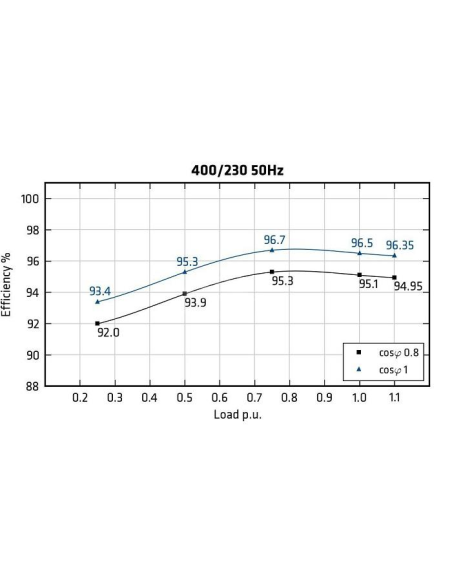 MECC ALTE ECO43-1S/4 - Efficiency