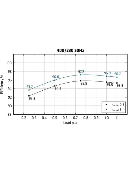 MECC ALTE ECO43-1M/4 - Efficiency