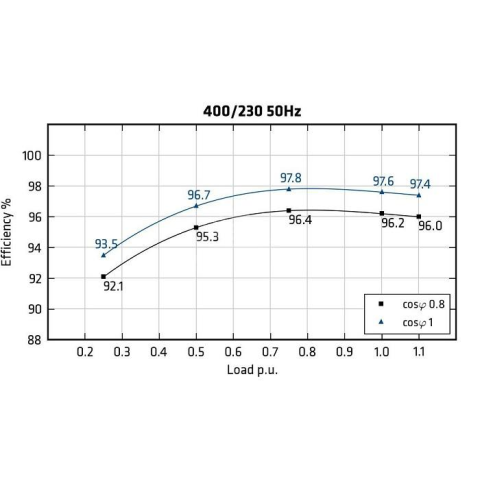 MECC ALTE ECO43-VL/4 - Efficiency