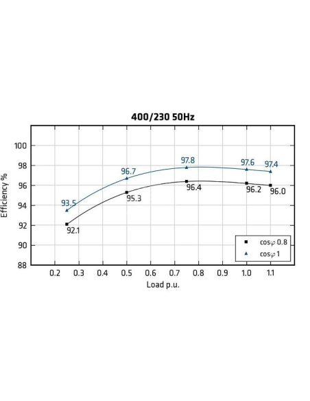 MECC ALTE ECO43-VL/4 - Rendimento