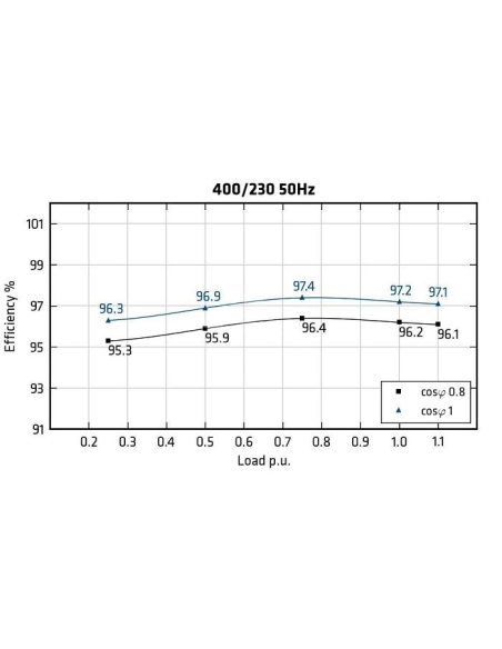 MECC ALTE ECO46-1S/4 - Efficiency