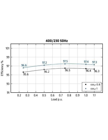 MECC ALTE ECO46-2S/4 - Efficiency