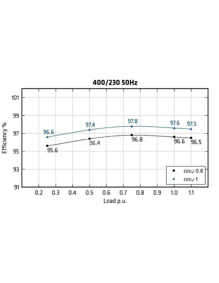 MECC ALTE ECO46-1L/4 - Efficiency