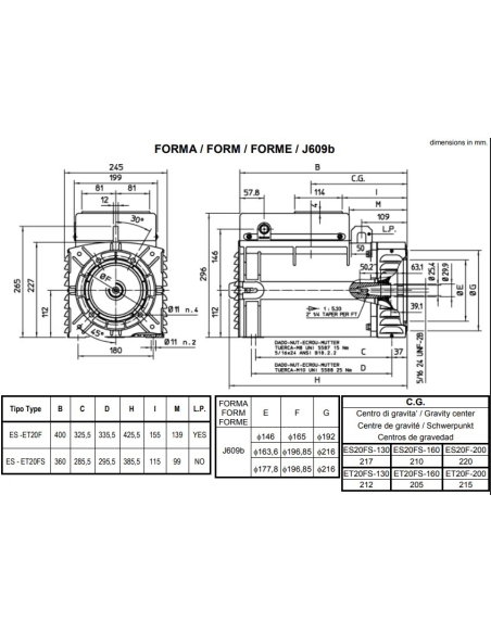 MECC ALTE ES20F SINGLE PHASE ALTERNATOR AVR