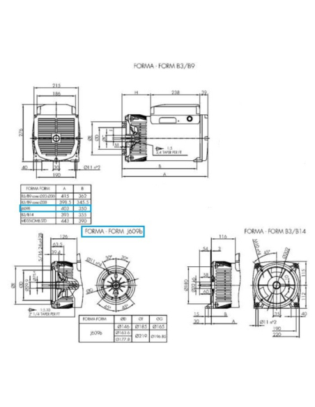 LINZ E1C11M C Alternatore Monofase 115/230V 12 kVA 50 Hz senza spazzole