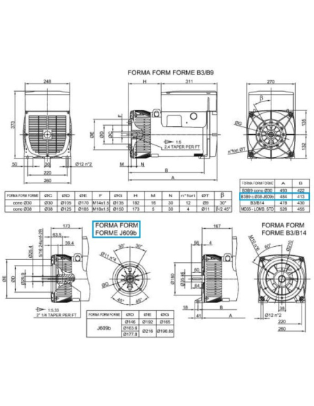 LINZ E1C13M D/2 Alternatore Monofase 115/230V 15 kVA 50 Hz senza spazzole