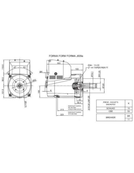 LINZ SPE10M G Alternatore Monofase 230V 4.5 kVA 50 Hz AVR