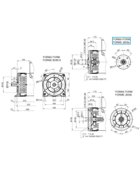 LINZ E1E10M L Alternatore Monofase 110V/220V 9.75 kVA 60 Hz AVR