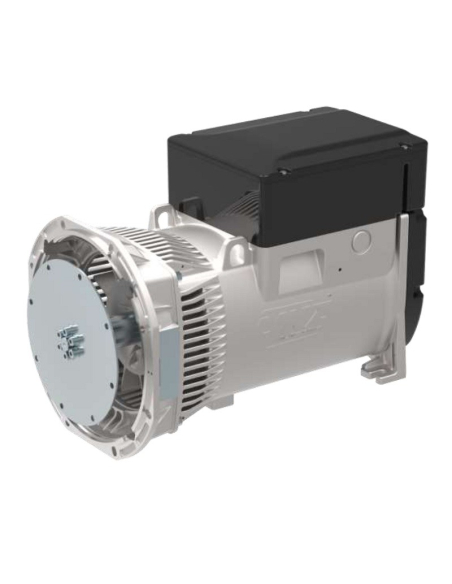 LINZ E1E13M D Alternatore Monofase 115V/230V 15 kVA 50 Hz AVR