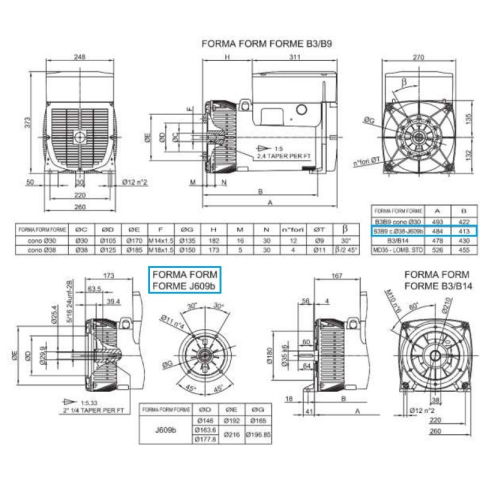 LINZ E1E13M E Single-phase alternator 115V/230V 18 kVA 50 Hz AVR