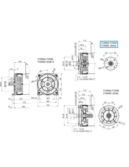 LINZ E1S10M I Alternatore Trifase 230/400V 9 kVA 50 Hz Compound