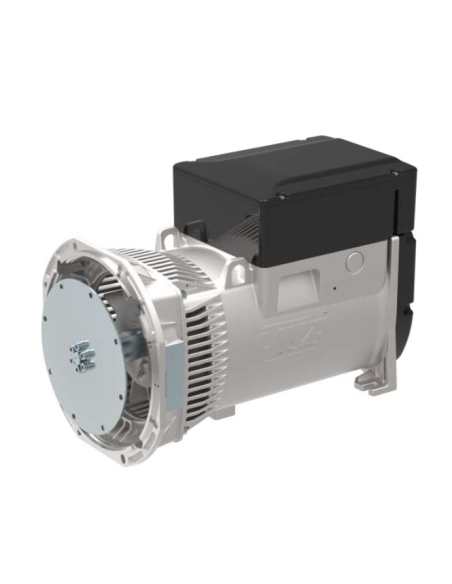 LINZ E1S13M D/2 Three-phase alternator 230V/400V 16 kVA 50 Hz Compound