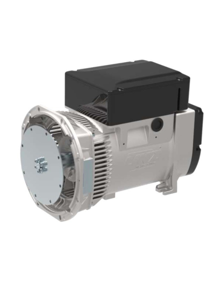 LINZ E1X13S B/2 Alternatore Trifase 230V/400V 10 kVA 50 Hz AVR