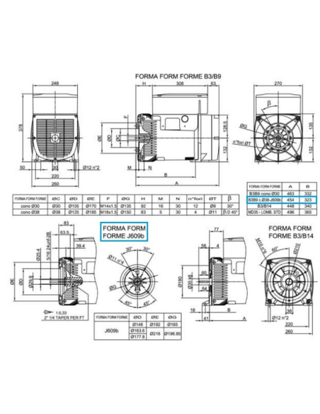 LINZ E1X13S C/2 Alternatore Trifase 230V/400V 12.5 kVA 50 Hz AVR