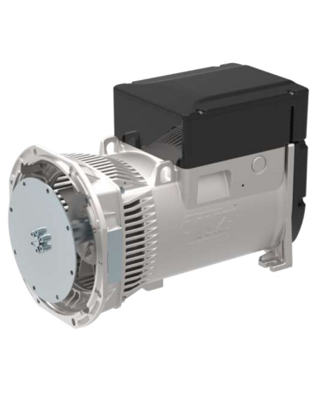 LINZ E1S13M E/4 Alternatore Trifase 4 poli 19 kVA 60 Hz Compound