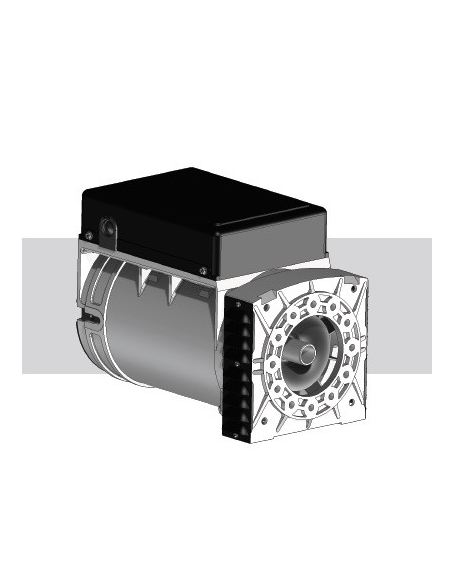 MECC ALTE ES20F-200 ALTERNATORE MONOFASE 11 KVA AVR