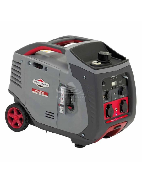 BRIGGS AND STRATTON P3000