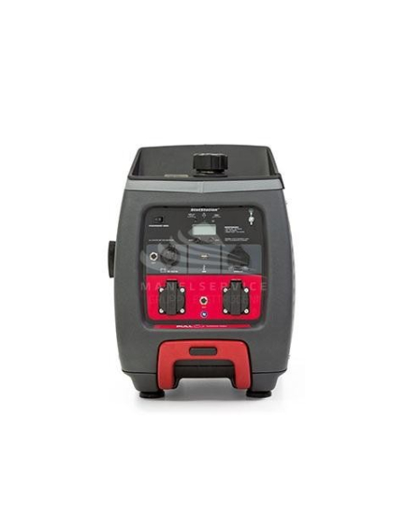 BRIGGS AND STRATTON P3000