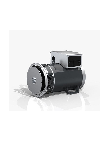 MECC ALTE ECP32 2S/4 C-TYPE ALTERNATORE TRIFASE 45 KVA AVR