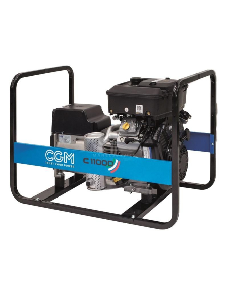CGM C11000
