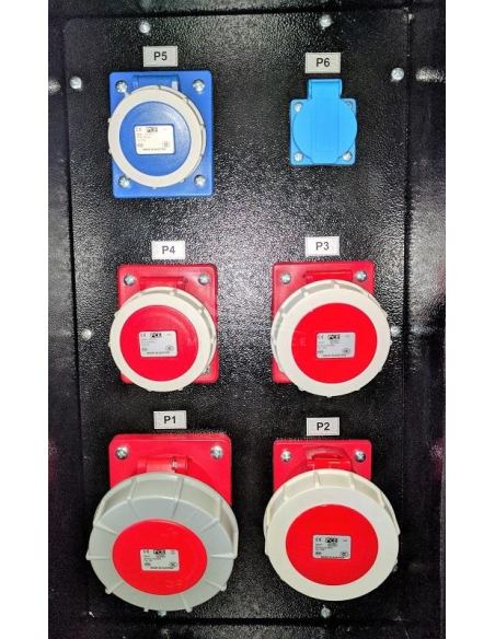 CGM 45P 45 KVA - 380/460 V - 50/60 Hz