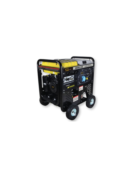 EGM RP10000-SE GENERATORE 8KW