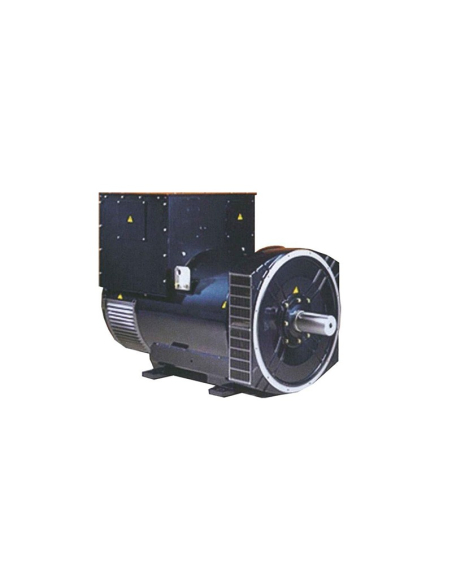 BELTRAME DINGOL DG444C Three-phase Alternator 250 kVA AVR