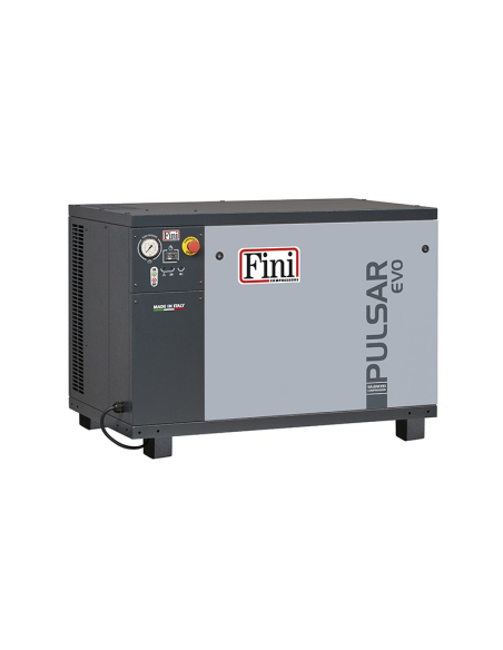 FINI PULSAR EVO BK113-4 PUMPING GROUP 4HP