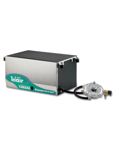 TELAIR TIG 3000G Automatic Generator | Manel Service
