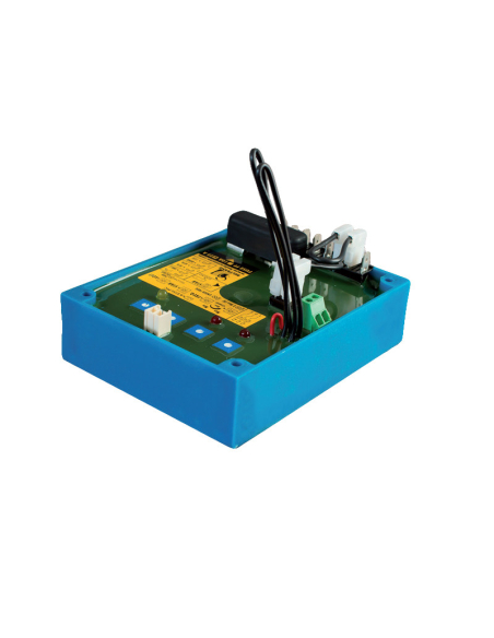REGOLATORE DI TENSIONE AVR 130/25 | Manel Service