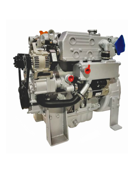 Raywin 4D24 Marine Engine 36,8KW | Manel Service
