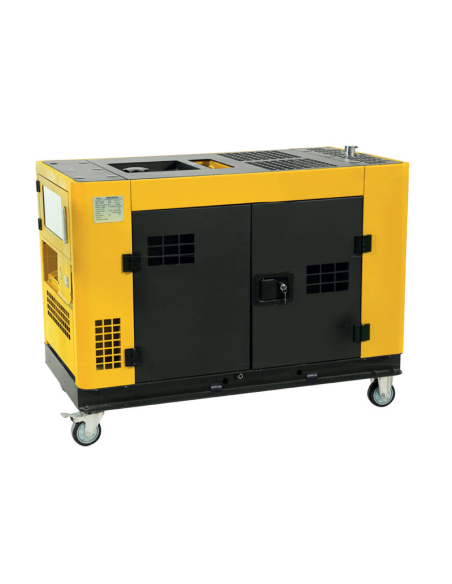 Generator ECOGREEN KDG12STA3 | Manel Service