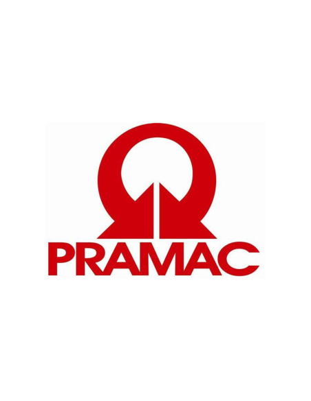 PRAMAC PRESA DI RICARICA PER VEICOLI ELETTRICI