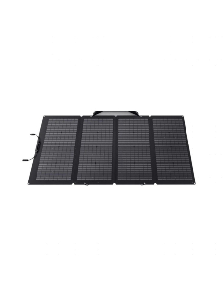 Pannello Solare EcoFlow 220W | Manel Service