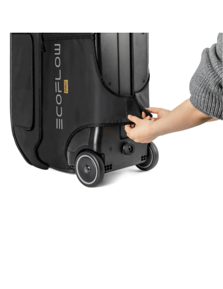 ECOFLOW DELTA PRO BORSA PER IL TRASPORTO