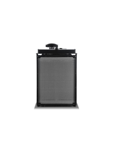 Motore Iveco FPT NEF 67 TE3PV | Manel Service